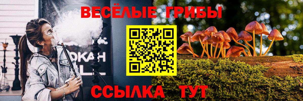 Галлюциногенные грибы прущие грибы  Вход с VPN  Менделеевск 